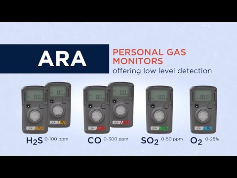 Portable Gas Detector