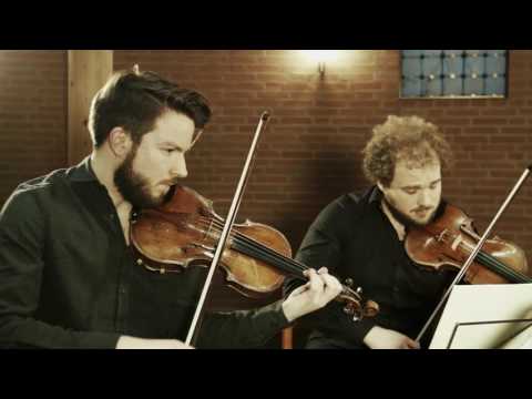 Goldmund Quartett: Debut CD - Haydn String Quartets