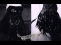 Metallic Falcons - Pale Dog