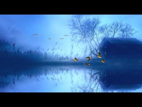 琴瑟和鳴___Harmony