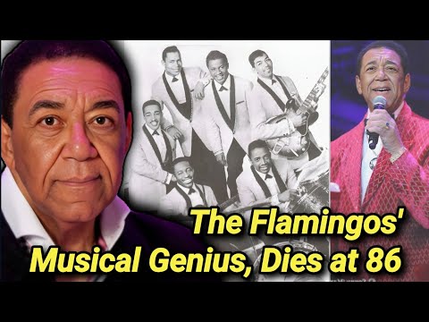 Thumbnail for Terry Buzzy Johnson Dead at 86 | The Flamingos Singer & Guitarist Dies | Cause Of Death | Died by G.E.M. (singer)