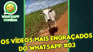 Os Vdeos Mais Engraados do WhatsApp #03