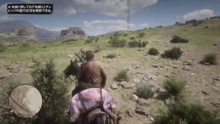 【RDR2】一億年ぶりの西部【part2.5】