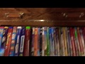 Me Destroying My Chicken Little DVD In Pop
