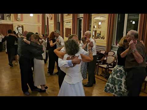 Tango NIEVE Encuentro Milonguero, Maribor, Slovenia (18. 10. 2025) ~ DJ Lua #1