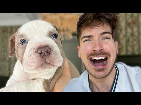 I’m Not Strong Enough For This