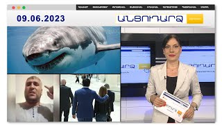 Հուրգադայում շնաձուկը մարդ է հոշոտել