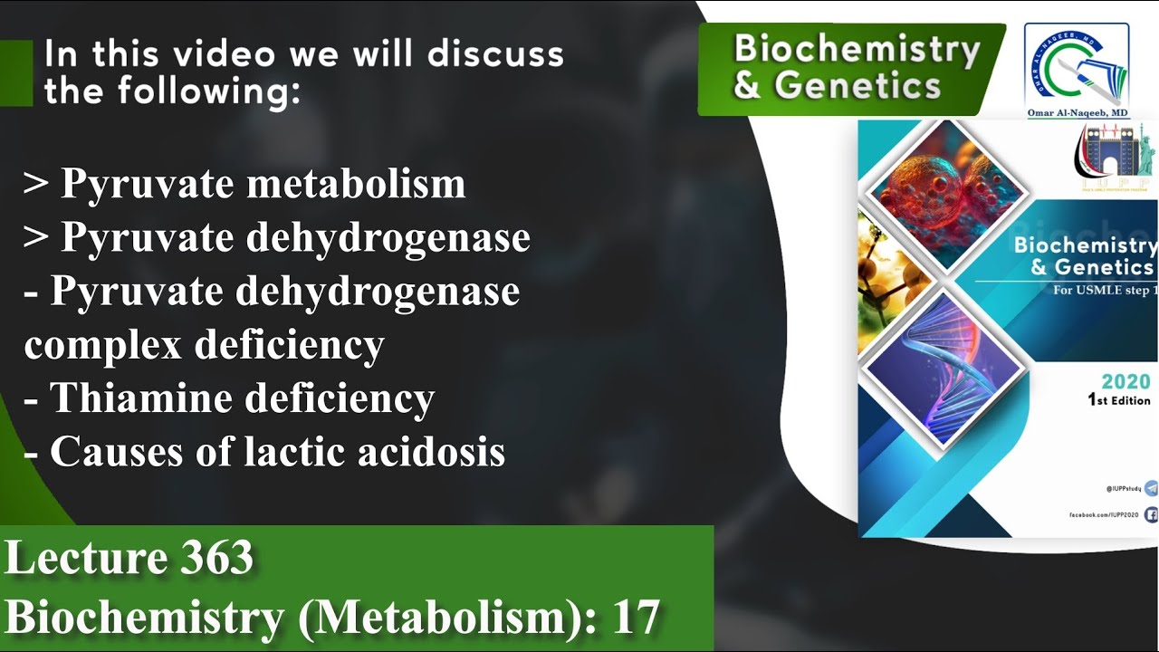 Pyruvate metabolism | Pyruvate dehydrogenase complex deficiency | Thiamine Deficiency