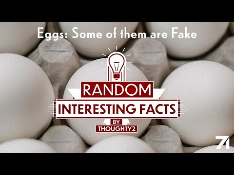 Eggs: Some of them are Fake | EP 4 RIF