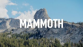 Mammoth | Doc-style Vlog | Mamiya 80mm | Kipon Medium Format to Full Frame Speedbooster