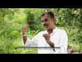How To Save Our Soil Permaculture A Sustainable Farming We Should Practice Binay Kumar Singh