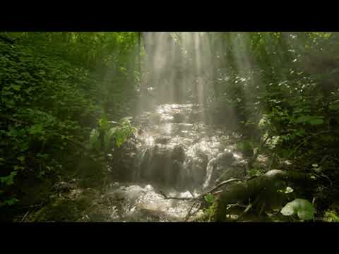 KLIMAT (48 x Grzesiu) feat. BOCIAN