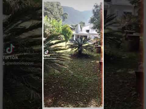 #orquideasdeelenahotel #lomejor #parati #jorlop599 #yanacachi #yungas #lapaz #bolivia