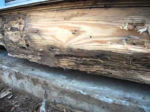 Sill Plate Replacement part 4