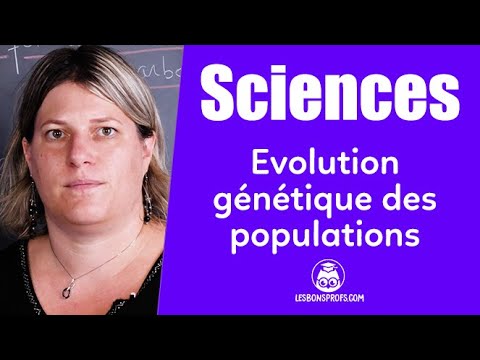 Évolution génétique des populations