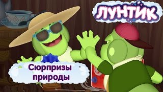 Лунтик и его друзья - Сюрпризы природы. Лето 2017