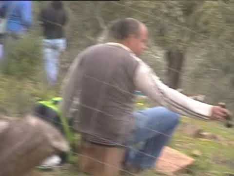 Lancer Evolution M. Kosciuszko @ Rally de Portugal 2011