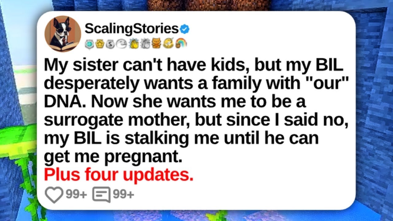 New Update: My Sister Can’t Have Kids, but My Brother-in-Law Desperately Wants a Family With Our...