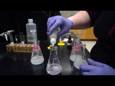 Chem 1204L - Exp  9 - Saponification