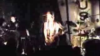 Sleepytime Gorilla Museum - 1997