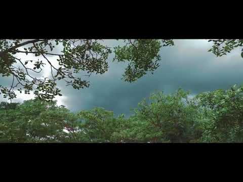 Shona Boi Kusvika Tafa official music#subscribe like comment