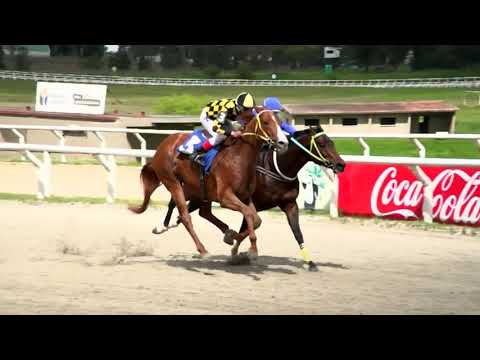 210924 c01 - NAGORSKI - HIPODROMO LAS PIEDRAS