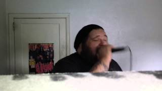 Affiance - Limitless (Vocal Cover)