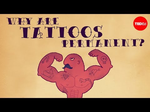 【TED-Ed】What makes tattoos permanent? - Claudia Aguirre
