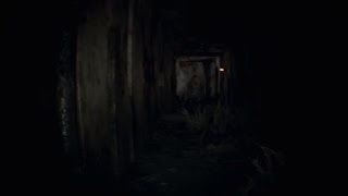 ［垂れ流し］バイオハザード7 PSVR #4