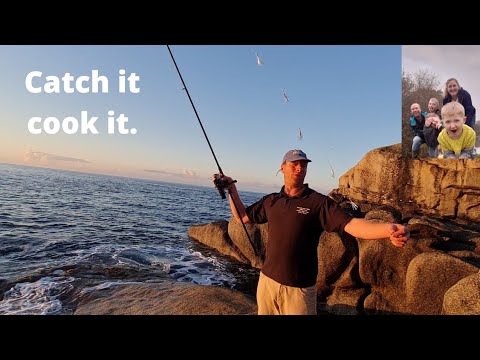 Catch it cook it, pollock from the rocks.