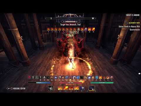 Magicka Dragonknight 90k+ (Staves) - FoA