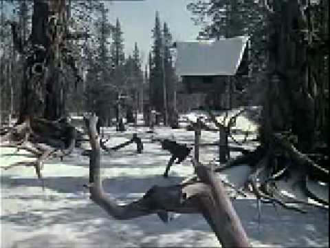 DJ  Company - Mrazík