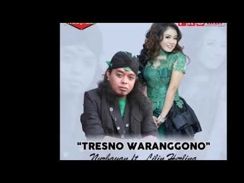TRESNO WARANGGONO nurbayan ft.lilin herlina