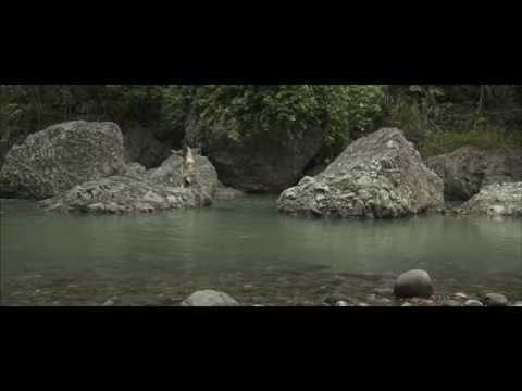 afbeelding Women of the Weeping River