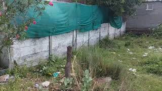  Residential Plot for Sale in Thiruvaiyaru, Thanjavur