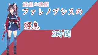 【就寝用】ファレノプシスの寝息【ウマ娘】