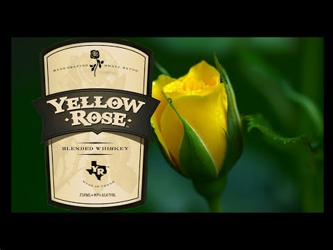The Yellow Rose of Texas, Preerian keltainen ruusu, Accordion, Jussi Marttinen