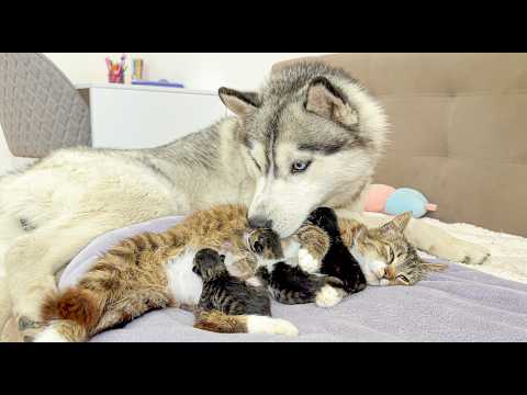 YouTube 썸네일
