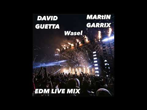 DAVID GUETTA/MARTIN GARRIX/WASEL /EDM LATIN