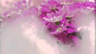 But Beautiful - Don Sleet Quintet