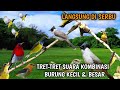 Suara Pikat Burung Kecil Ribut Kombinasi Kutilang Gacor Bikin Burung Liar Makin Emosi