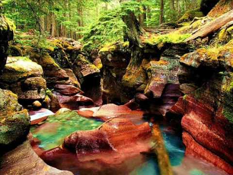 FORROOTS...presente divino