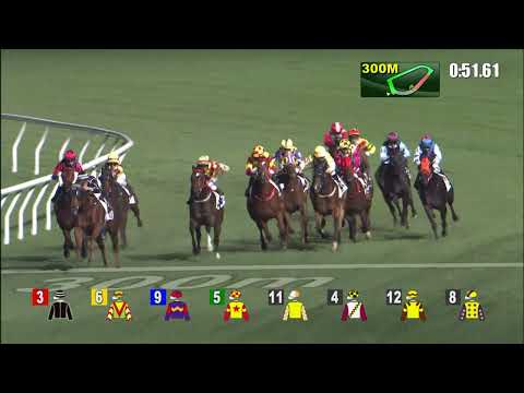 22/12/2021 (276) Lucky Archangel - H Bentley