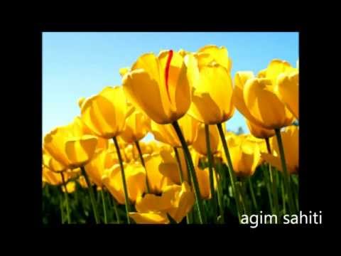 nuredin  gashi kenga e hysen shaljakut