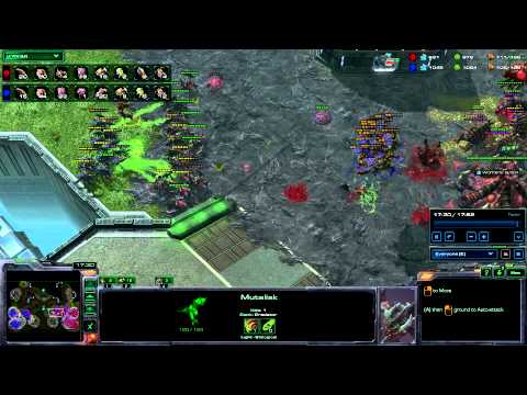 20 Mutalisk Chain Fungal