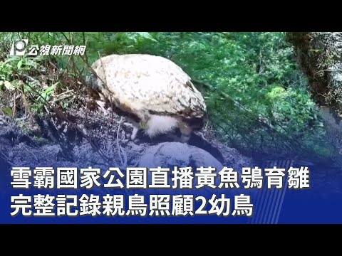 youtube影片