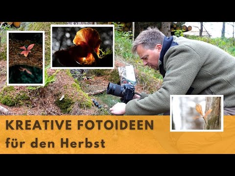 3 kreative Fotoideen für den Herbst