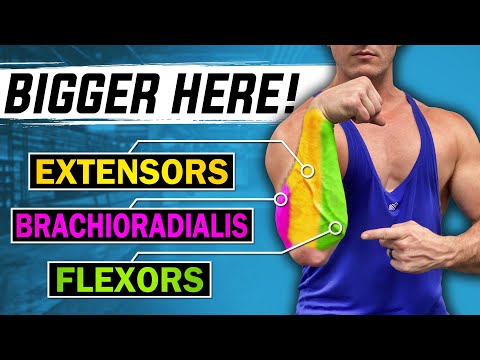 Muscular Strenght Title