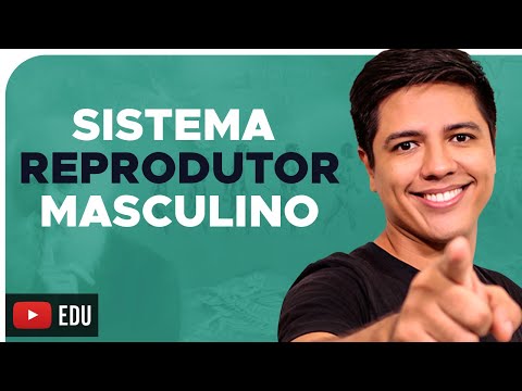 SISTEMA REPRODUTOR MASCULINO - REPRODUÇÃO HUMANA - Prof. Kennedy Ramos