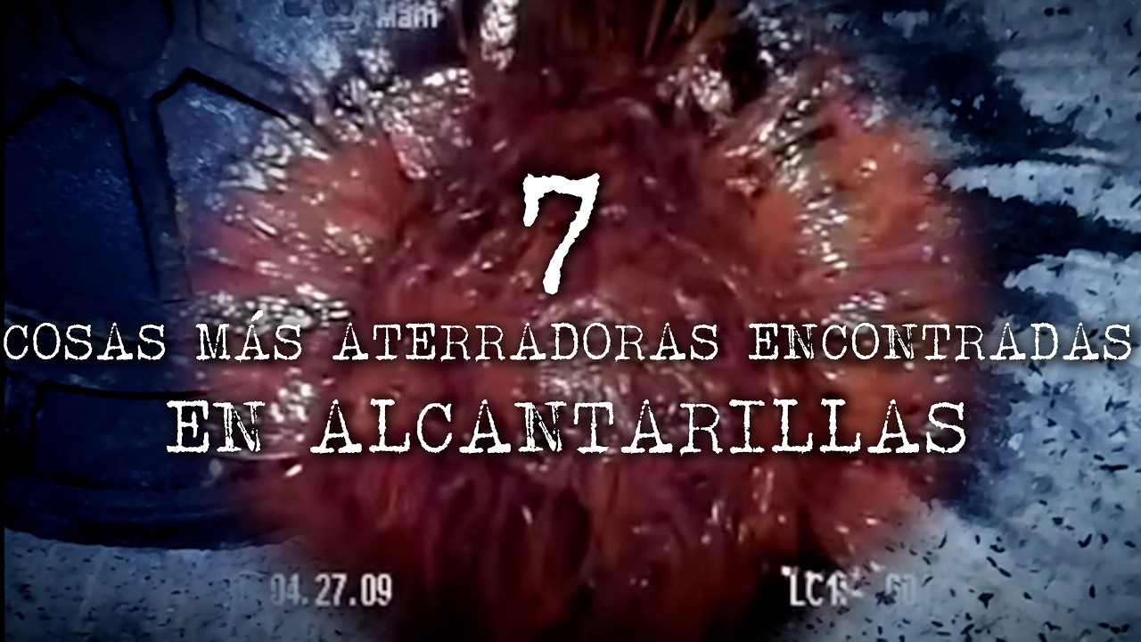 7 Cosas Más Aterradoras Encontradas En Alcantarillas